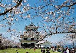 桜咲く館山城