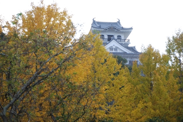 館山城が見える景色