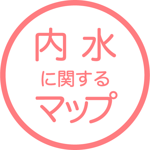 内水