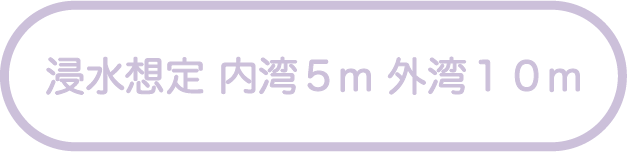 浸水想定　内湾5ｍ・外湾10ｍ洲崎より内湾で5m、外湾で10mの津波が発生した場合に想定される浸水域と浸水深を表したものです
