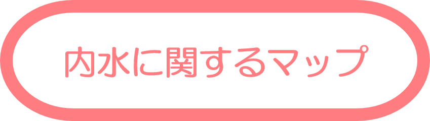 内水