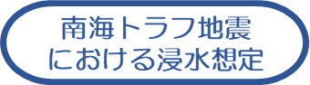 南海トラフ地震における浸水想定