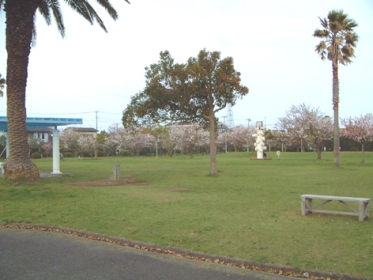 北条中央公園(館山市北条1500番地の1)