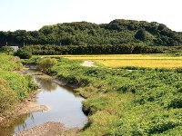 稲村城跡