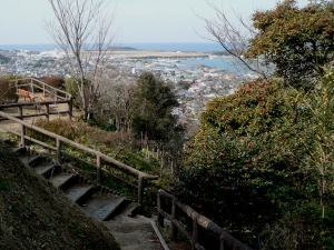 Camellia Path