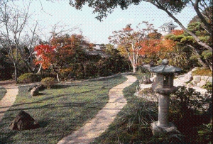 Japanese Garden