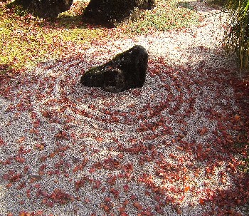 枯山水の落葉