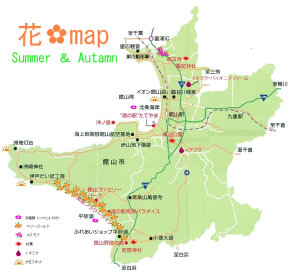 花マップ 夏・秋版