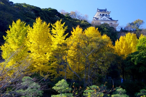 芝生広場