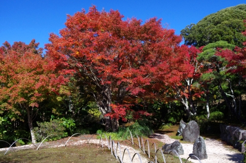 日本庭園