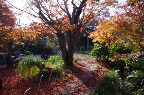 日本庭園