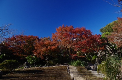 日本庭園