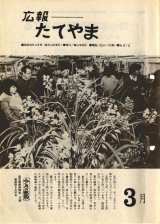 S52.3.15号