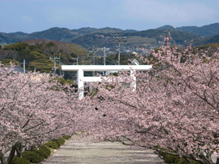 Awa Shrine