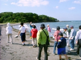 Okinoshima Island Tour