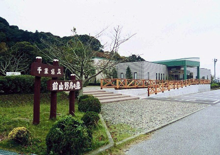 Tateyama Wild Bird Sanctuary