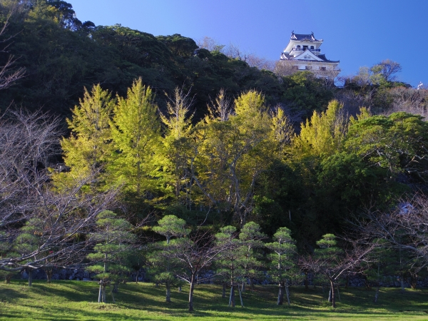 芝生広場