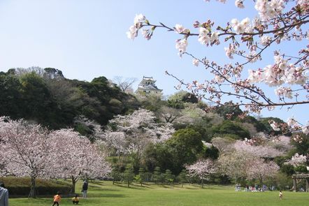 聖地スポット　城山公園