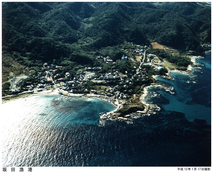 坂田漁港航空写真