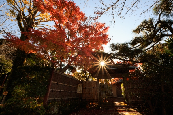 日本庭園