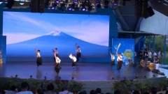 魂刀流(5)