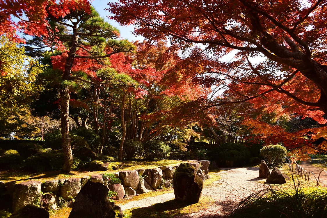 城山公園の紅葉 館山市役所