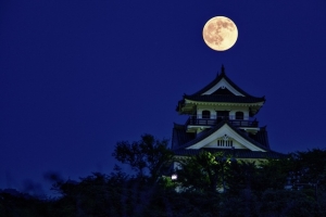 館山城と月