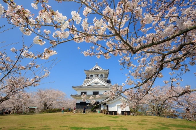 城山公園の山頂広場