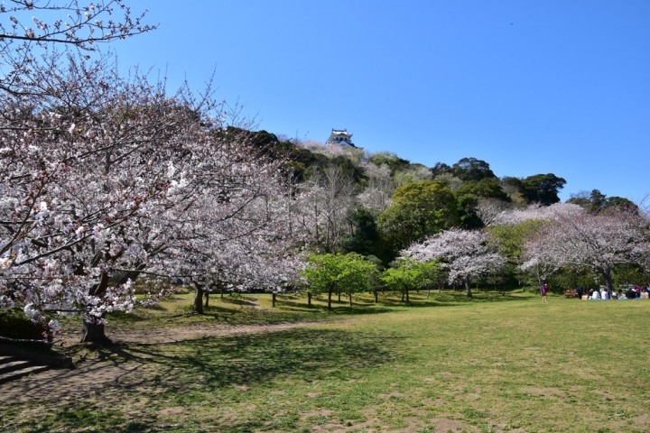 城山公園