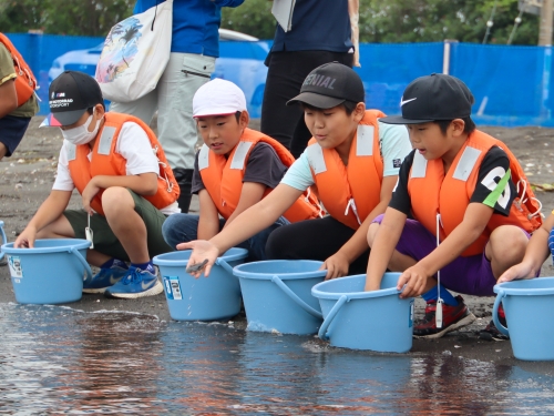 ヒラメの稚魚を放流する様子