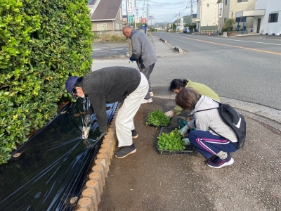 （移植位置選定［マルチ穴あけ］）
