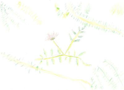 【4年生の部】優秀賞