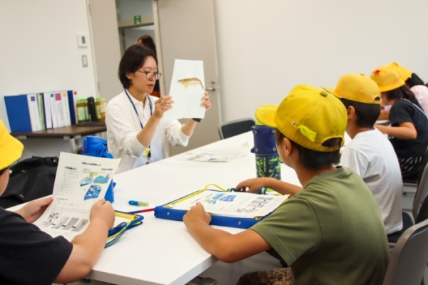 クルマエビの生態について説明を受ける様子(房南小学校3年生)