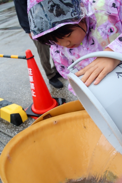クルマエビを放流する様子(房南小学校3年生)