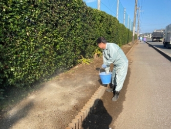 （肥料を撒く様子）