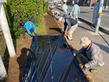 （マルチシート張り）