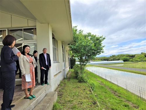 豊房小学校の学校田の見学