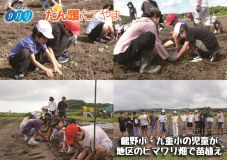 広報紙表紙