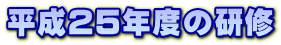 平成25年度の研修 